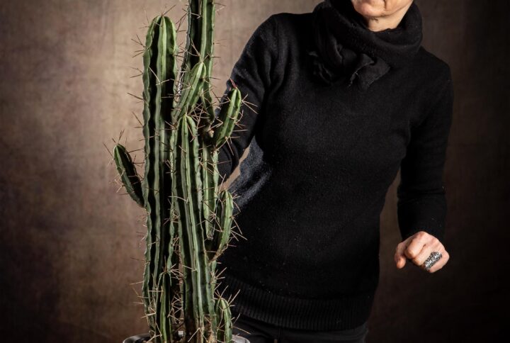 Cactus finto triplo finto, immagine con soggetto