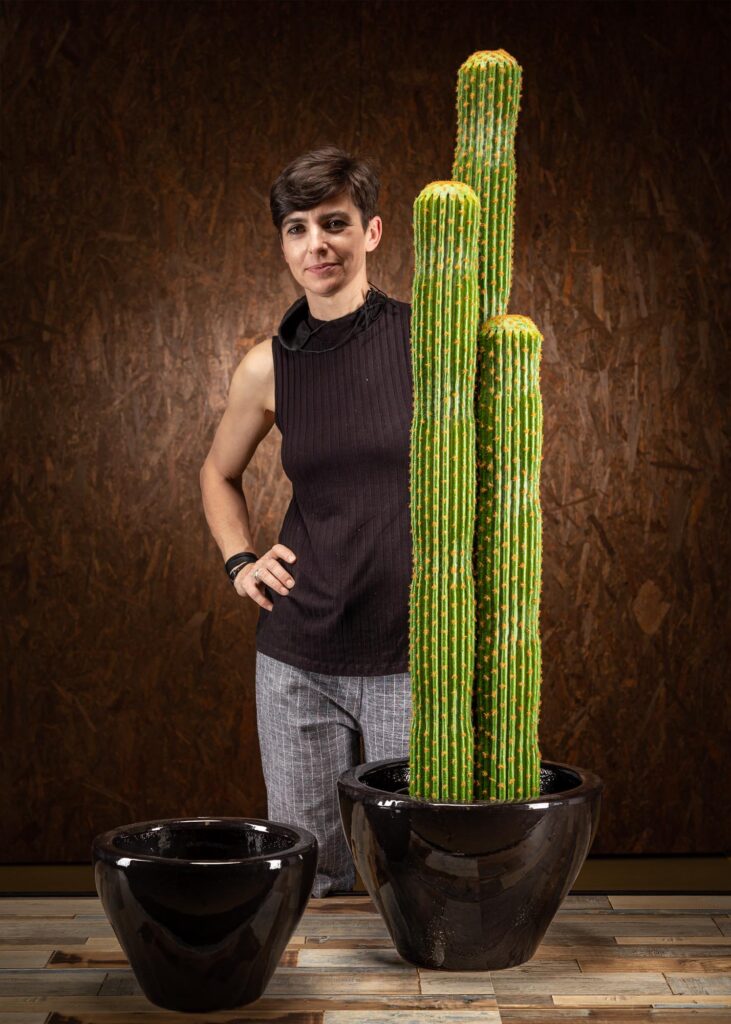 Pianta artificiale finto di cactus Messico