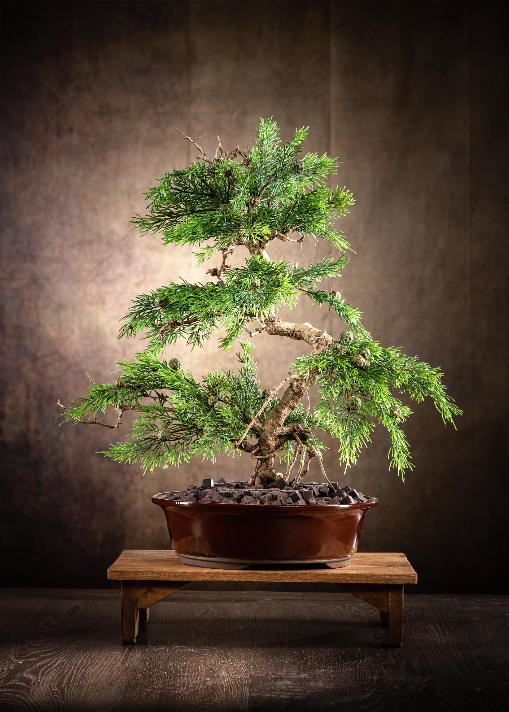 _MG_7446-Modifica-Arte Fiore-Bonsai-artificiali-realistici-bonsai-finti