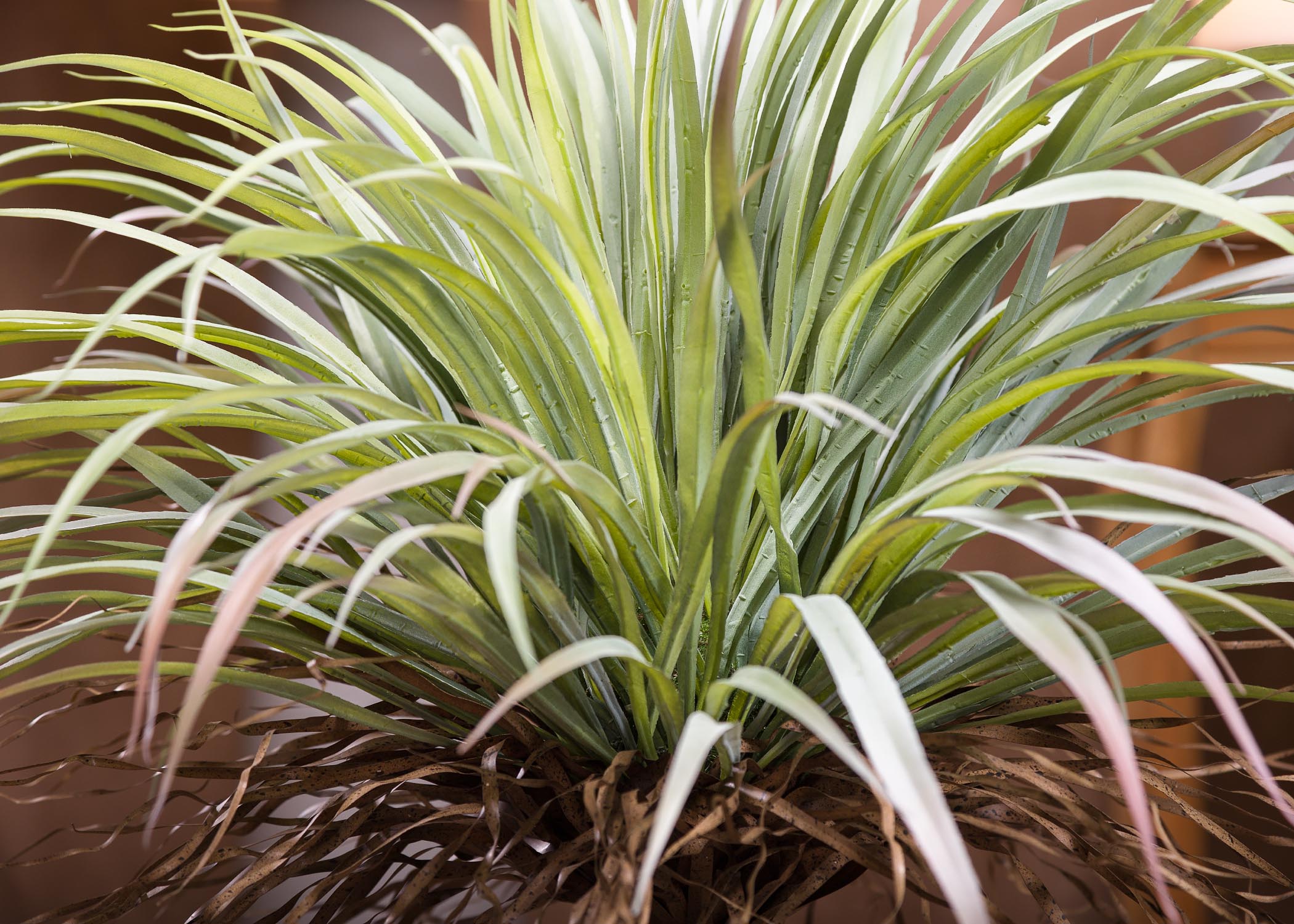 Pianta Yucca elegante artificiale: Elegante e realistica